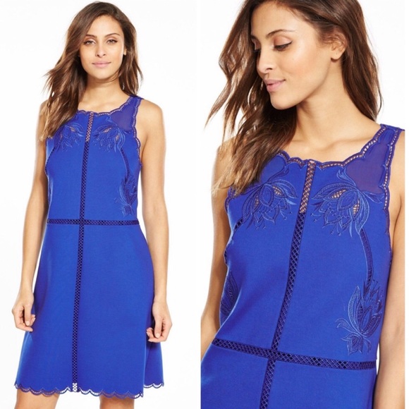 ted baker codi dress